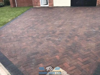 rhino pave (3) rhino pave (3)