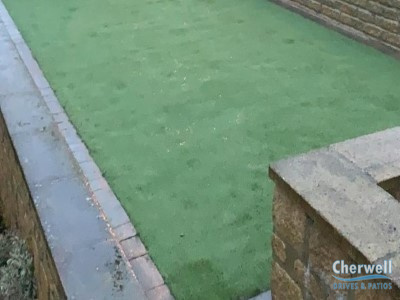Top cherwell (9) Top cherwell (9)
